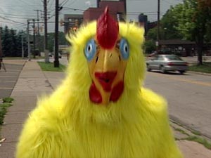 question the chicken bit